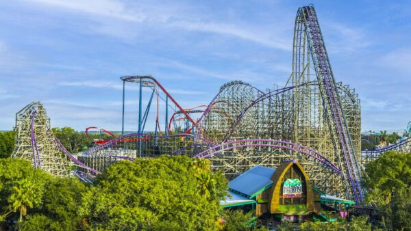 A large wooden-and-steel roller coaster with steep drops and twists surrounded by trees at an amusement park.