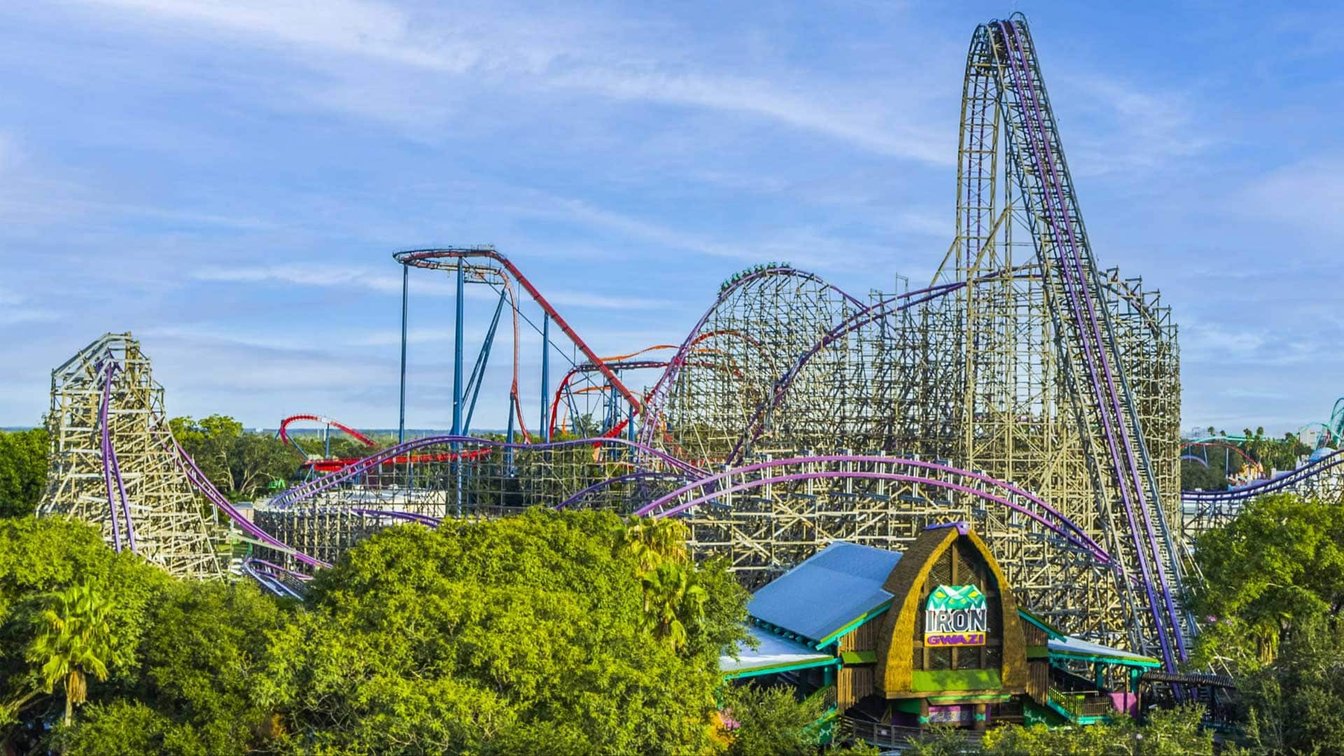 A large wooden-and-steel roller coaster with steep drops and twists surrounded by trees at an amusement park.